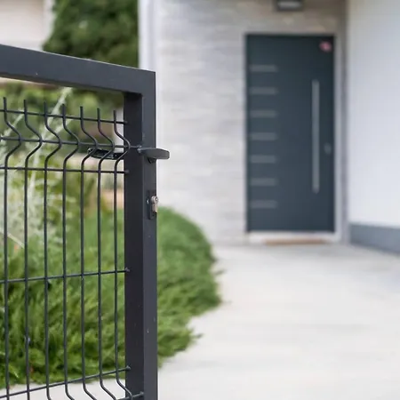 Sandi * بولا